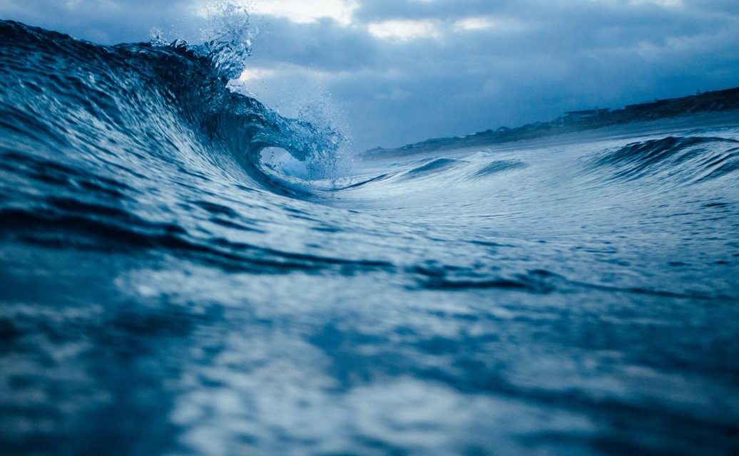 Magni soluta iste aspernatur illo consequatur