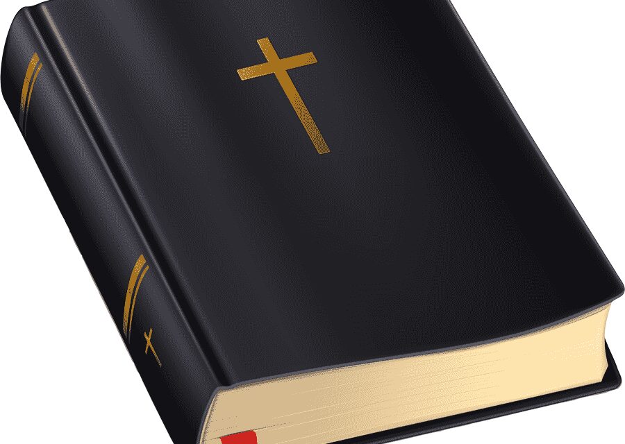 Este versículo fue el más leído en 2020: Isaías 41:10 «No temas, porque yo estoy contigo»