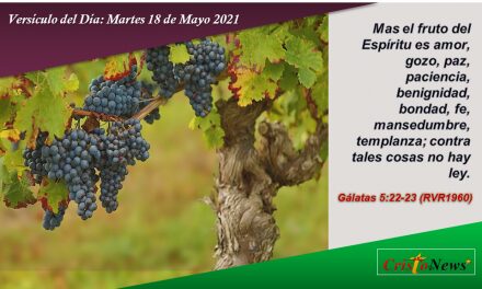 Versículo del Día: Martes 18 de Mayo de 2021