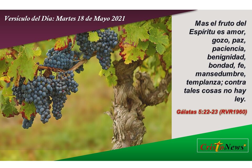 Versículo del Día: Martes 18 de Mayo de 2021