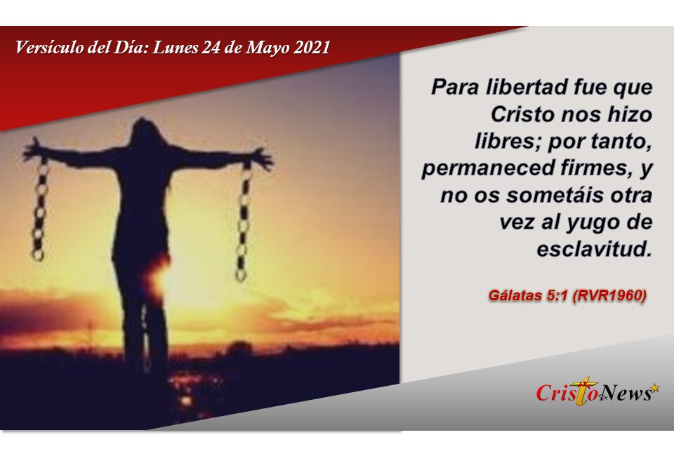 Versículos del Día: Lunes 24 de Mayo de 2021