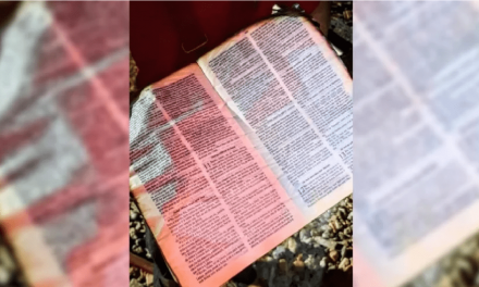 Bomberos se sorprenden con Biblias intactas en dos incendios: “Nunca vimos eso”