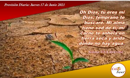 Provisión Diaria. Jueves 17 de Junio de 2021