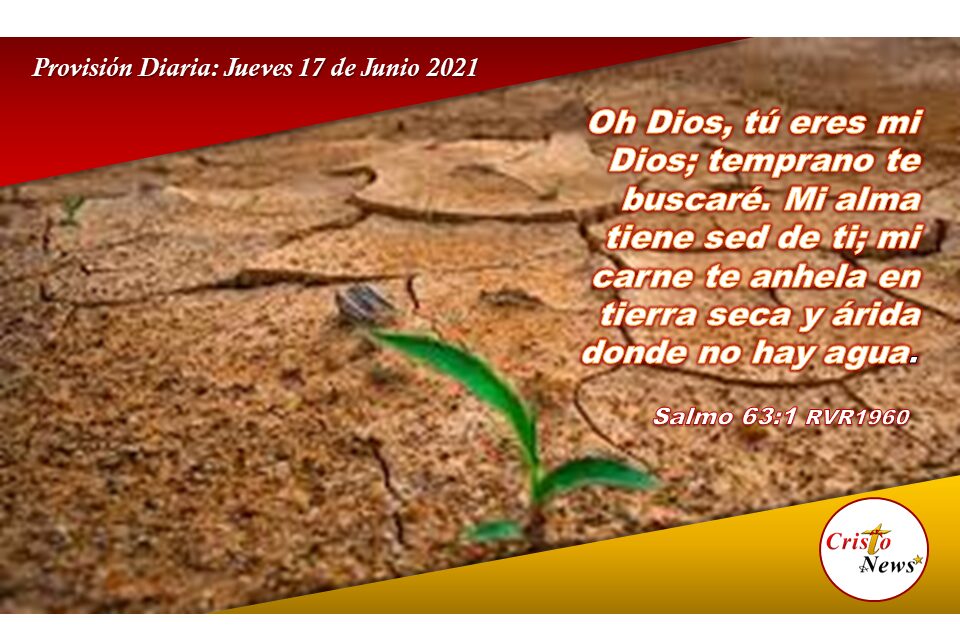 Provisión Diaria. Jueves 17 de Junio de 2021