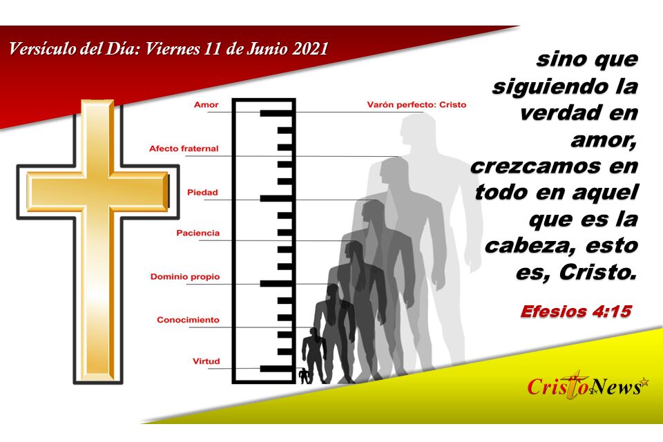 Versículo del Día: Viernes 11 de Junio de 2021