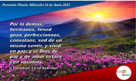 Provisión Diaria: Miércoles 16 de Junio de 2021