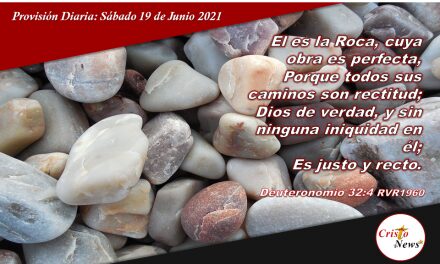 Provisión Diaria: Sábado 19 de Junio de 2021