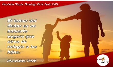 Provisión Diaria: Domingo 20 de Junio 2021