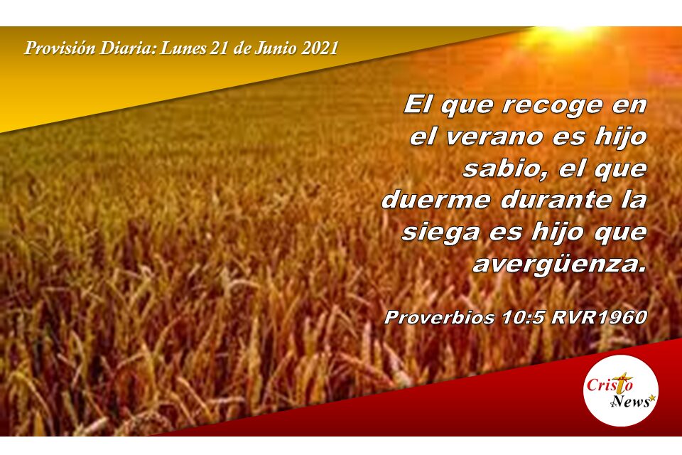 Provisión diaria. Lunes 21 de Junio de 2021