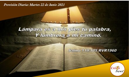 Provisión Diaria: Martes 22 de Junio de 2021