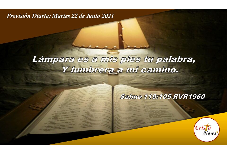 Provisión Diaria: Martes 22 de Junio de 2021