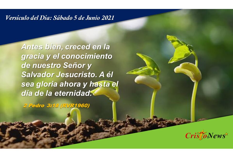 Versículo del Día: Sábado 5 de Junio de 2021