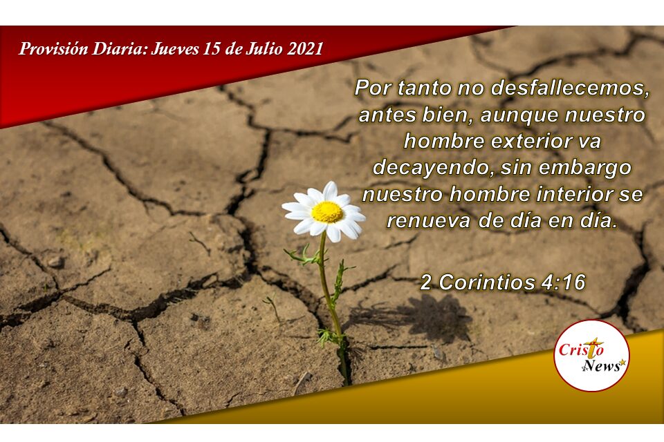 Solo Jesucristo renueva nuestras fuerzas y nos hace firme cada día: Provision Jueves 15 de Julio de 2021