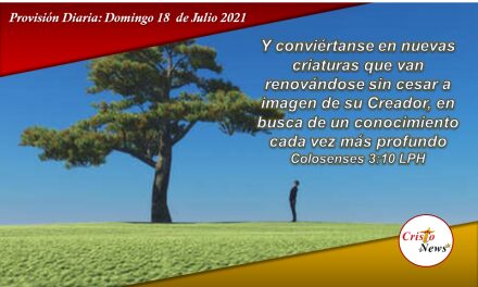 Buscar en Jesucristo el Conocimiento nos renueva como hombres a la imagen de Dios Creador: Provisión Domingo 18 de Julio de 2021