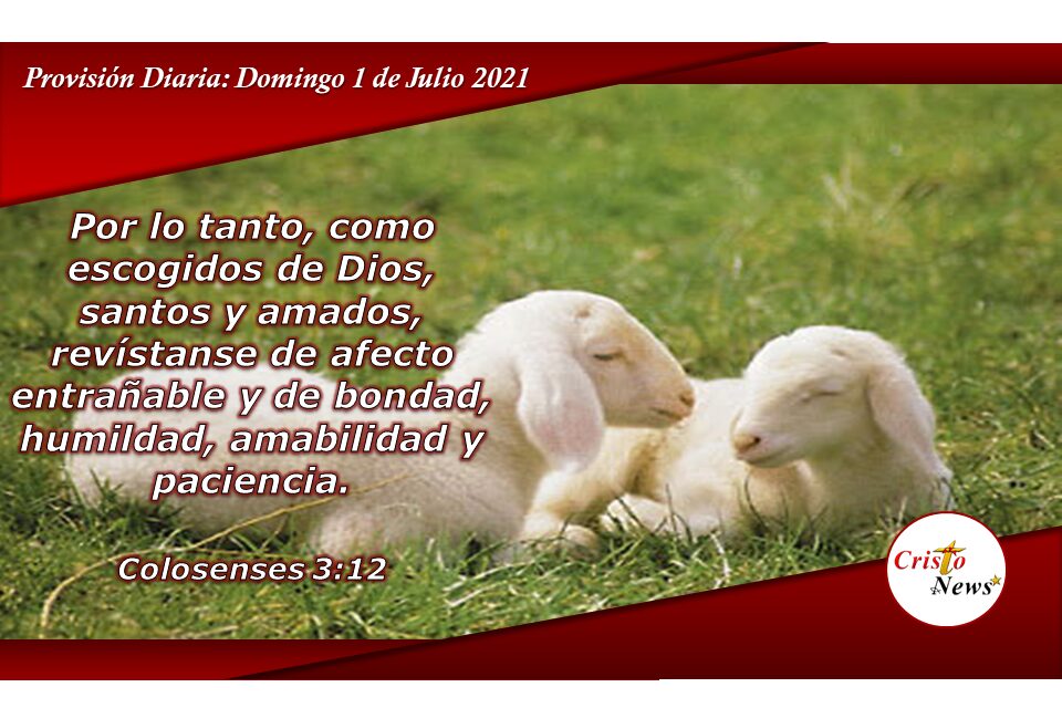 Al ponernos la vestimenta de Jesucristo cubrimos nuestra vida con el amor y bendición de Dios: Provisión Domingo 1 de Agosto de 2021