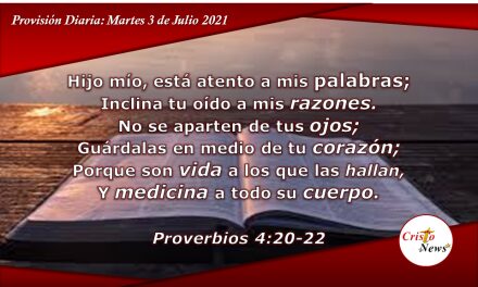 En la palabra de Dios encontramos la sabiduría y el entendimiento necesario para nuestra vida: Provisión Martes 3 de Agosto de 2021