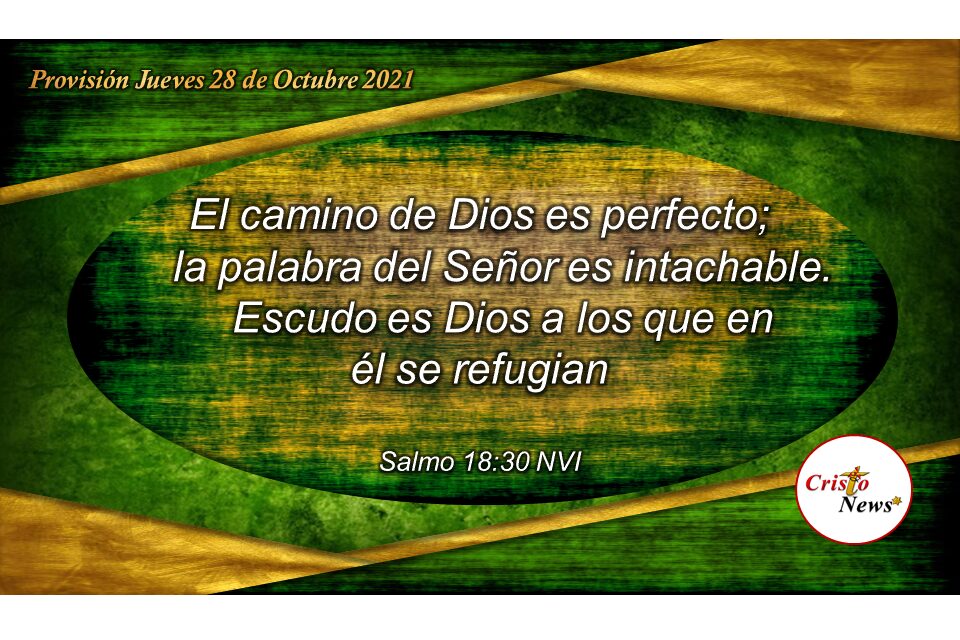 El camino de Dios es perfecto y su escudo en nosotros es Jesucristo: Provisión Jueves 28 de Octubre de 2021