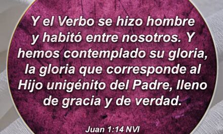 El verbo fue hecho carne en Jesucristo para darnos vida abundante en gracia y en verdad: Provisión Martes 9 de Noviembre de 2021
