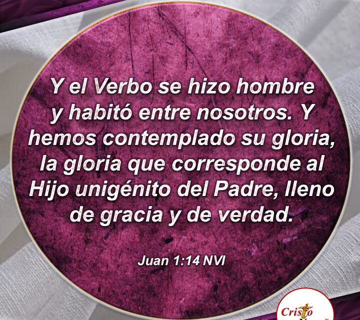 El verbo fue hecho carne en Jesucristo para darnos vida abundante en gracia y en verdad: Provisión Martes 9 de Noviembre de 2021