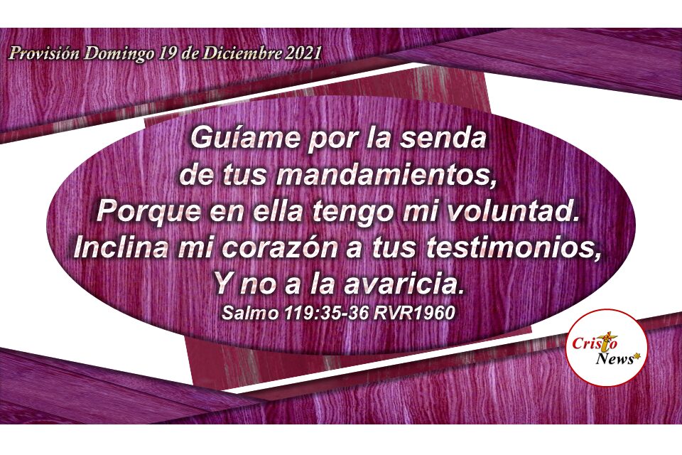 El testimonio de Jesucristo en nuesrtro corazón es hacer la voluntad de Dios en fe y obediencia: Provisión Domingo 19 de diciembre de 2021