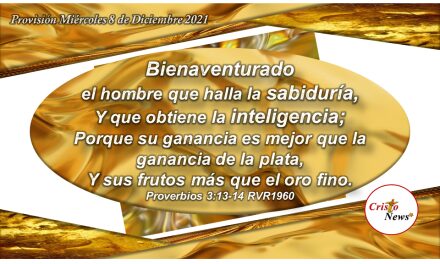 Buscar la sabiduría de Dios para obtener inteligencia y conocimiento y caminar con prudencia: Provisión Miércoles 8 de Diciembre de 2021