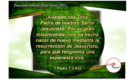 Jesucristo es esperanza viva: Provisión Sábado 29 de Enero 2022
