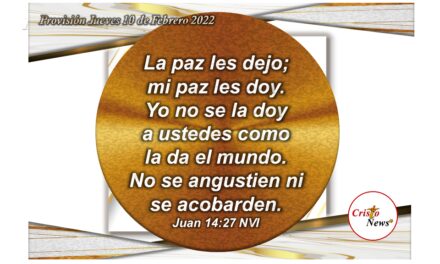 La Paz de Jesucristo es el Camino que nos lleva a la verdad y nos da vida: Provisión Jueves 10 de Febrero de 2022