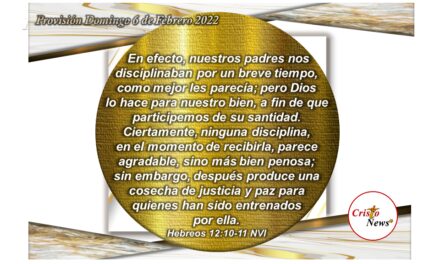 La fe y obediencia en seguir el Camino de Jesucristo nos disciplina en hacer la voluntad de Dios para bendición de nuestra vida: Provisión Domingo 6 de Febrero de 2022