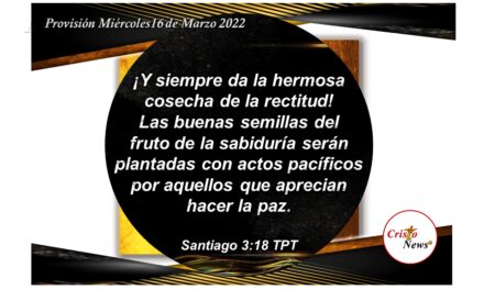 Jesucristo es el Camino donde se siembra la buena semilla de cuyo fruto se cosecha amor, esperanza, fe y paz por la Gracia de Dios: Provisión Miércoles 16 de marzo de 2022