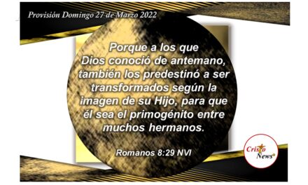 Dios nos predestinó en infinito amor a ser hermanos de Jesucristo como hijos adoptivos de Él de acuerdo a su voluntad: Provisión Domingo 27 de Marzo de 2022