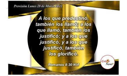 Somos llamados y justificados a través de Jesucristo, por amor, gracia y misericordia de Dios Padre: Provisión Lunes 28 de Marzo 2022