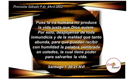 La Palabra de Dios es la semilla perfecta en nosotros para dar fruto en abundancia de acuerdo al carácter de Jesucristo: Provisión Sábado 9 de Abril de 2022
