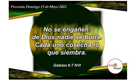 Sembrar la Palabra de Dios en nuestro corazón nos permite cosechar esperanza de vida y verdad en Jesucristo: Provisión Domingo 15 de Mayo de 2022