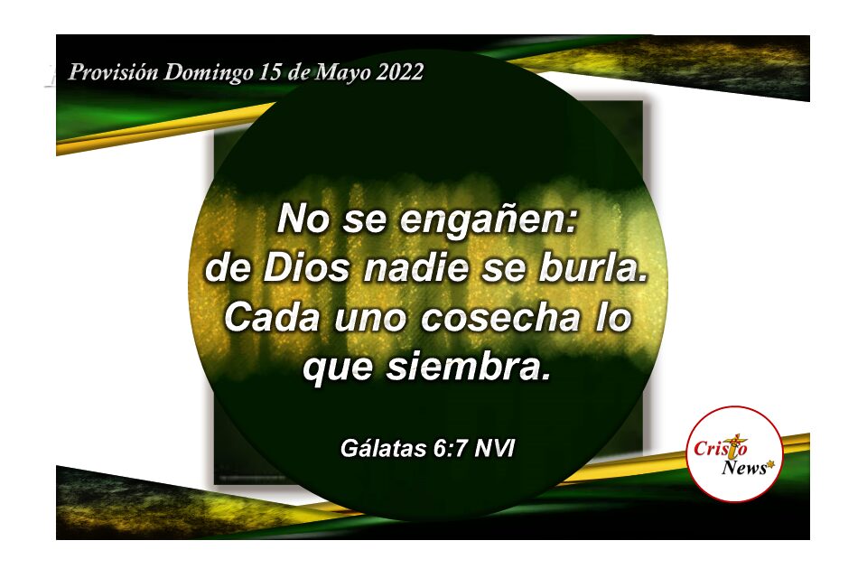 Sembrar la Palabra de Dios en nuestro corazón nos permite cosechar esperanza de vida y verdad en Jesucristo: Provisión Domingo 15 de Mayo de 2022