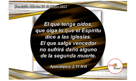 Jesucristo es el Camino de verdad que nos conduce a la vida eterna bajo en ámbito Dios Padre: Provisión Martes 24 de Mayo de 2022