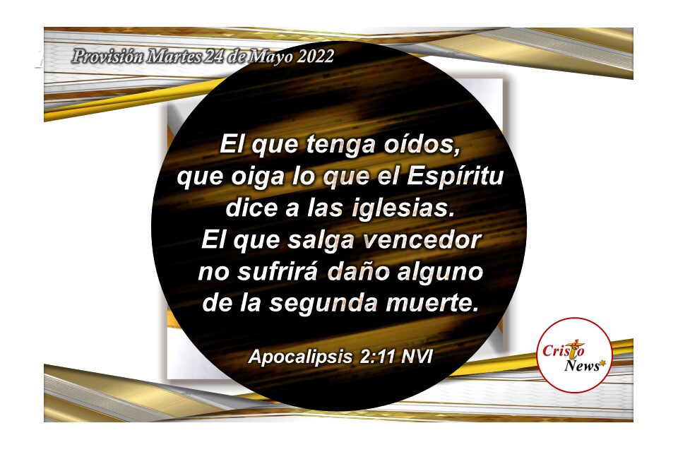 Jesucristo es el Camino de verdad que nos conduce a la vida eterna bajo en ámbito Dios Padre: Provisión Martes 24 de Mayo de 2022