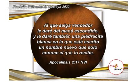 En el amor de Jesucristo somos transformados como hombres nuevos: Provisión Miércoles 25 de Mayo de 2022