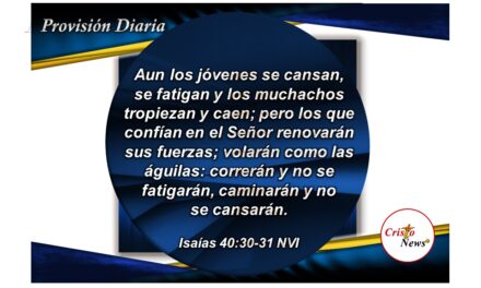 La Palabra de Dios nos da la fuerza necesaria para Caminar en Jesucristo y hacernos merecedores de la promesa: Provisión Martes 31 de Mayo de 2022