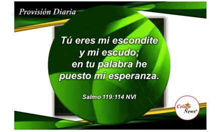 La Palabra de Dios es nuestro escudo y ofrece fundamento a la esperanza en fe y obediencia: Provisión Miércoles 4 de Mayo de 2022