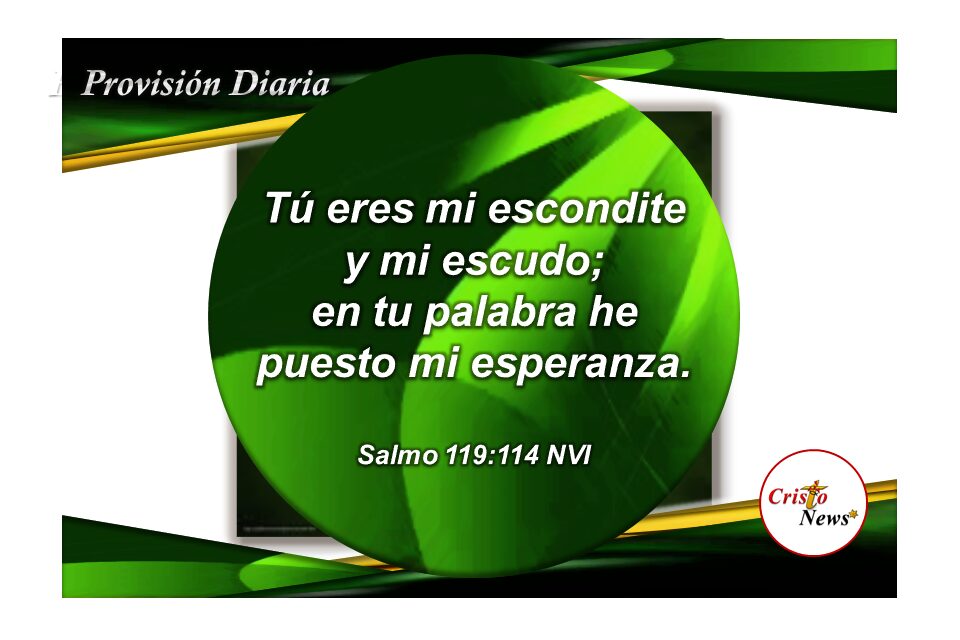 La Palabra de Dios es nuestro escudo y ofrece fundamento a la esperanza en fe y obediencia: Provisión Miércoles 4 de Mayo de 2022
