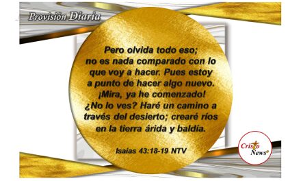 En Jesucristo somos renovados, nacidos de nuevo: Provisión lunes 18 de Julio de 2022