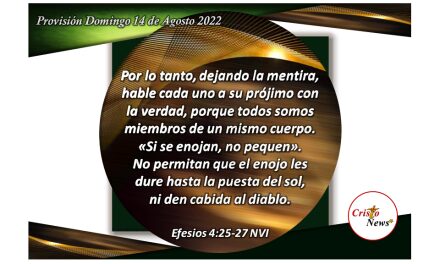 El amor de Jesucristo en nuestro corazón y haciendo la voluntad de Nuestro Padre Celestial nos aleja de las tentaciones: Provisión domingo 14 de Agosto de 2022