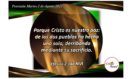 Jesucristo es nuestras paz y nos une en amor para reconciliarnos con nuestro Padre Celestial: Provisión martes 2 de Agosto de 2022