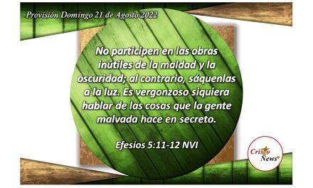 Jesucristo nos enseña el Camino para mantenernos en humildad e integridad: Provisión domingo 21 de agosto de 2022