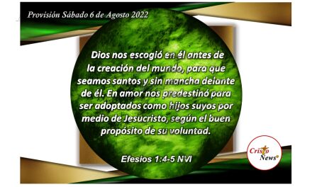 Dios nos escogió como hijos adoptivos por medio de Jesucristo en su plan perfecto: Provisión sábado 6 de Agosto de 2022