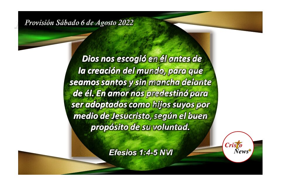Dios nos escogió como hijos adoptivos por medio de Jesucristo en su plan perfecto: Provisión sábado 6 de Agosto de 2022