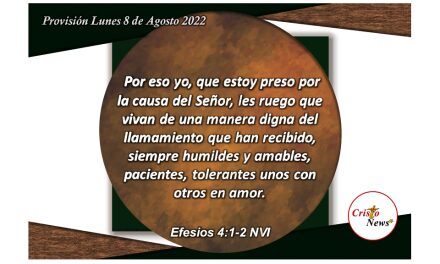 Jesucristo nos invita vivir en plenitud  amor, afecto, paciencia, mansedumbre y tolerancia unos a otros: Provisión lunes 8 de Agosto de 2022