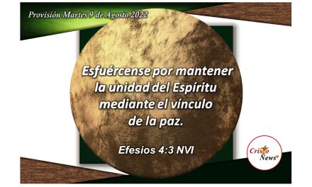 Jesucristo es el vínculo de unidad y paz: Provisión martes 9 de Agosto de 2022