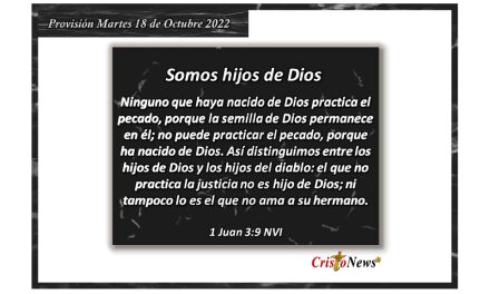 En Jesucristo vivimos la plenitud de estar separados del pecado: Provisión martes 18 de Octubre de 2022