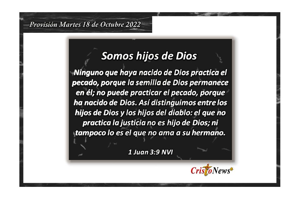 En Jesucristo vivimos la plenitud de estar separados del pecado: Provisión martes 18 de Octubre de 2022